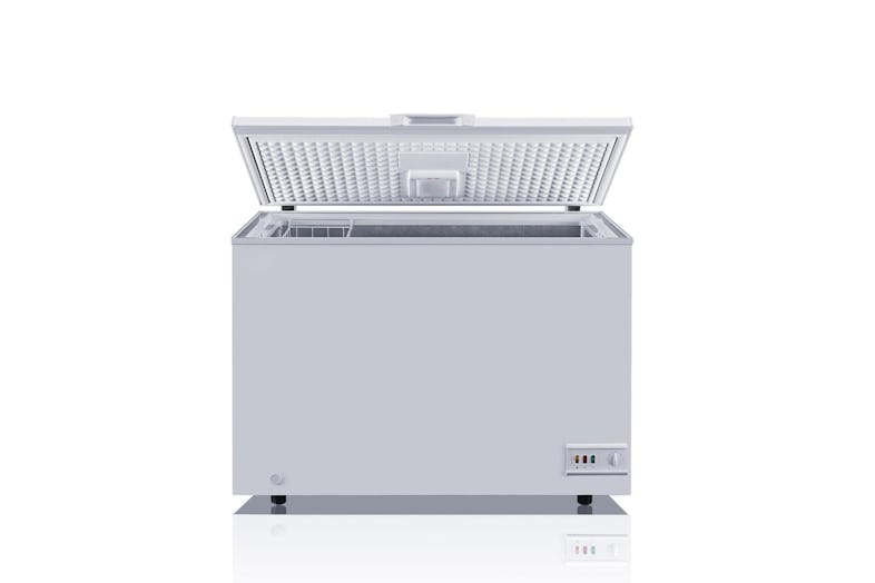 Congelador com porta dobrável cega horizontal 282 litros (1)