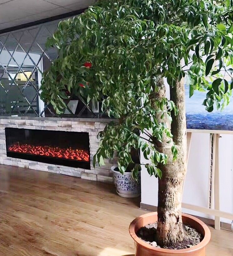 Sined Amiata Lareira Eléctrica Embutida Lareira Interior De 180 Cm De Comprimento Com (1)