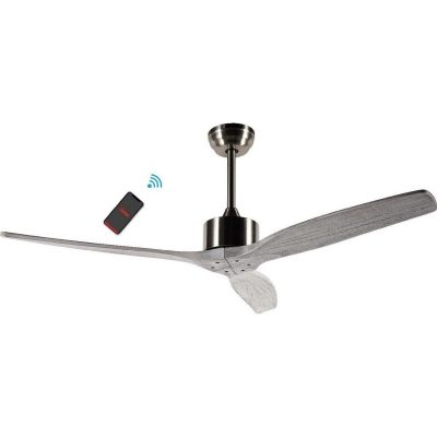 Ventilador de Teto Pipa